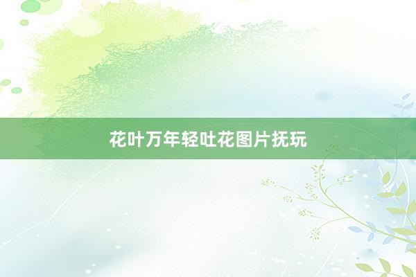 花叶万年轻吐花图片抚玩